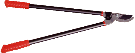 https://storage.alifshop.tj/media/images/alifshop/11722/kustorez-orient-mk131-1674808110678.png