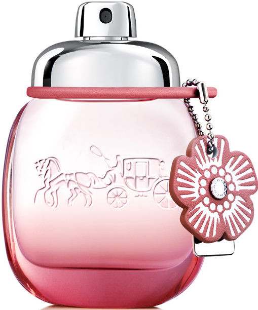 https://storage.alifshop.tj/media/images/alifshop/12396/parfyumernaya-voda-coach-floral-blush-50ml-1677660127890.png
