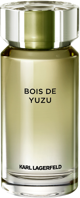 https://storage.alifshop.tj/media/images/alifshop/13341/tualetnaya-voda-karl-lagerdeld-bois-de-yuzu-100ml-1680850377438.png