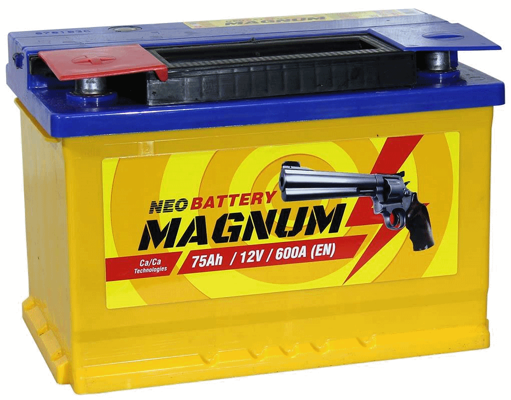 https://storage.alifshop.tj/media/images/alifshop/13888/avtomobilnyy-akkumulyator-magnum-6st-75ach-1683106755601.png