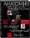 https://storage.alifshop.tj/media/images/alifshop/14323/anatomiya-i-fiziologiya-bolshoy-populyarnyy-atlas-1684750734994-xs.webp