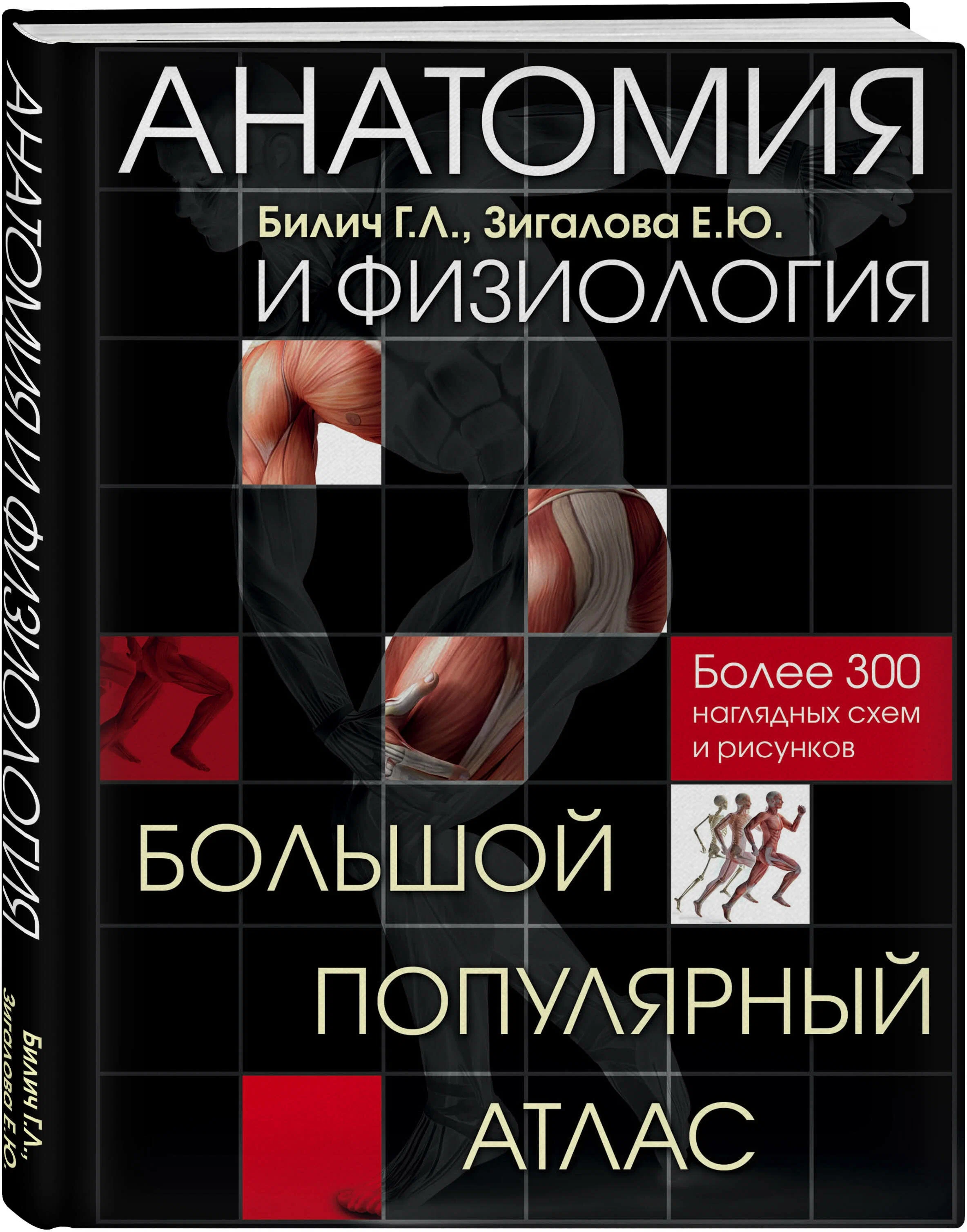 https://storage.alifshop.tj/media/images/alifshop/14323/anatomiya-i-fiziologiya-bolshoy-populyarnyy-atlas-1684750734994.png