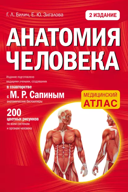 https://storage.alifshop.tj/media/images/alifshop/14451/anatomiya-cheloveka-vtoroe-izdanie-1684903534925.png