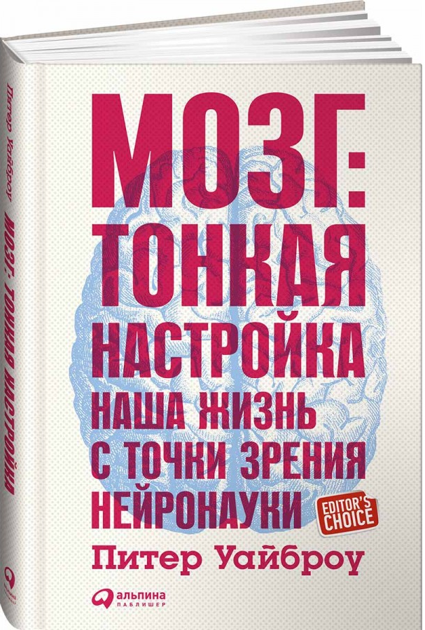 https://storage.alifshop.tj/media/images/alifshop/15124/mozg-tonkaya-nastroyka-nasha-zhizn-s-tochki-zreniya-neyronauki-1686546969502.png