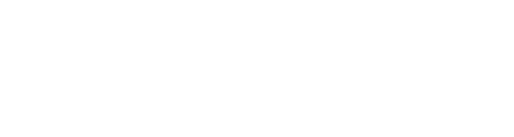 UNIDEA