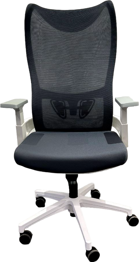 https://storage.alifshop.tj/media/images/alifshop/15757/ofisnoe-kreslo-flamingo-belyy-1688377692202.png