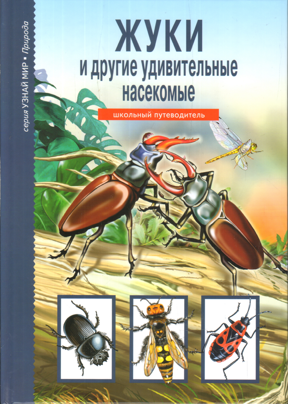 https://storage.alifshop.tj/media/images/alifshop/16509/zhuki-i-drugie-udivitelnye-nasekomye-shkolnyy-putevoditel-1689838807128.png