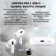 https://storage.alifshop.tj/media/images/alifshop/18355/besprovodnye-naushniki-apple-airpods-pro-2-usb-c-belyy-1755595244756-xs.webp
