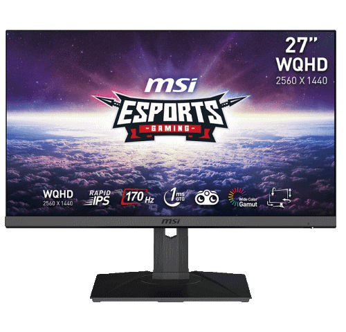 https://storage.alifshop.tj/media/images/alifshop/19808/monitor-msi-g272qpf-27-dyuym-1702986559285.png