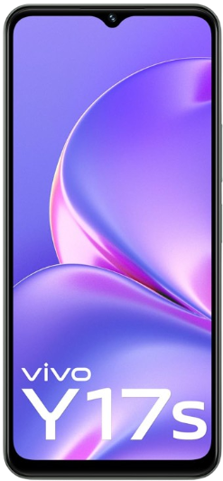 https://storage.alifshop.tj/media/images/alifshop/21050/vivo-y17s-6-128-gb-zelenyy-1754388963529.png