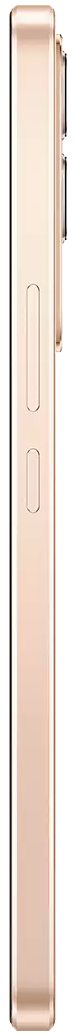 https://storage.alifshop.tj/media/images/alifshop/21063/vivo-y29e-8-256-gb-persikovyy-1754392012471.png