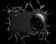 https://storage.alifshop.tj/media/images/alifshop/21999/xiaomi-14-ultra-16-512-gb-chernyy-1753428611259-xs.webp
