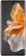 https://storage.alifshop.tj/media/images/alifshop/22076/vivo-v30-12-256-gb-chernyy-1754394539544-xs.webp