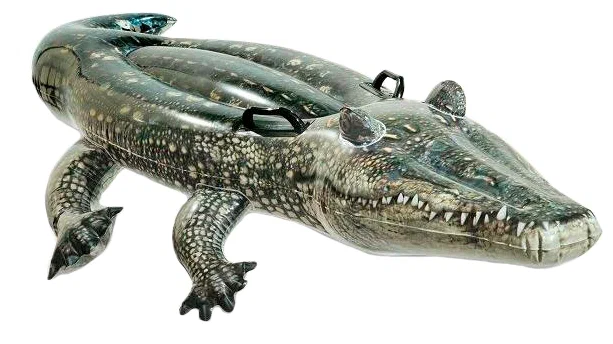 https://storage.alifshop.tj/media/images/alifshop/23646/naduvnaya-igrushka-krokodil-intex-57551-170h86sm-1720080255668.png