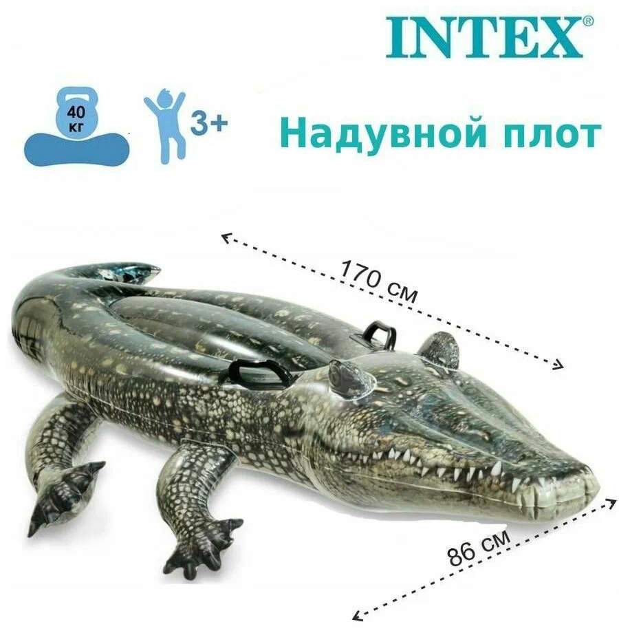https://storage.alifshop.tj/media/images/alifshop/23646/naduvnaya-igrushka-krokodil-intex-57551-170h86sm-1720080257279.png