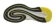 https://storage.alifshop.tj/media/images/alifshop/24470/krossovki-rabex-rb-running-arsn211-43-razmer-zelenyy-1759143571881-xs.webp