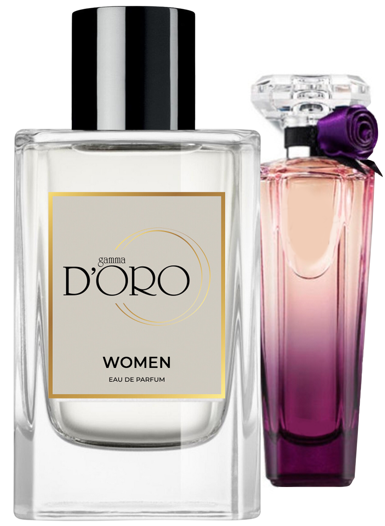 https://storage.alifshop.tj/media/images/alifshop/26300/parfyumernaya-voda-gamma-d-oro-po-motivam-lancome-tresor-midnight-rose-w-191-50-ml-1729254164411.png