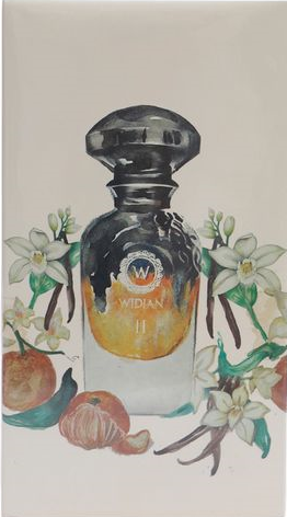 https://storage.alifshop.tj/media/images/alifshop/26602/parfyumernaya-voda-widian-aj-arabia-50-ml-1730439535804.png