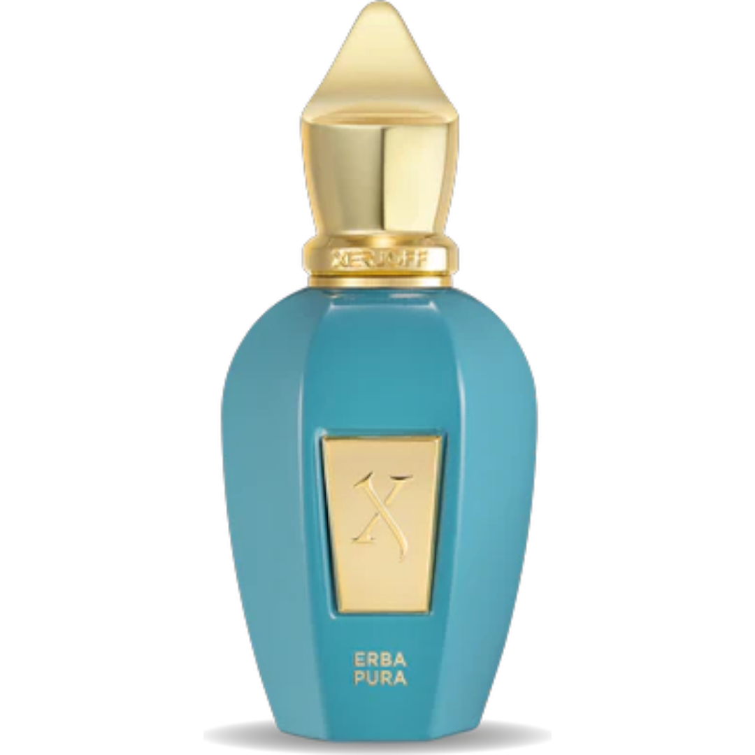 https://storage.alifshop.tj/media/images/alifshop/26627/parfyumernaya-voda-xerjoff-erba-pura-100-ml-1764739797354.png