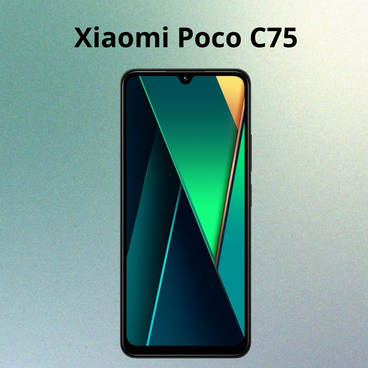 https://storage.alifshop.tj/media/images/alifshop/26936/xiaomi-poco-c75-6-128-gb-chernyy-1753178637540.png