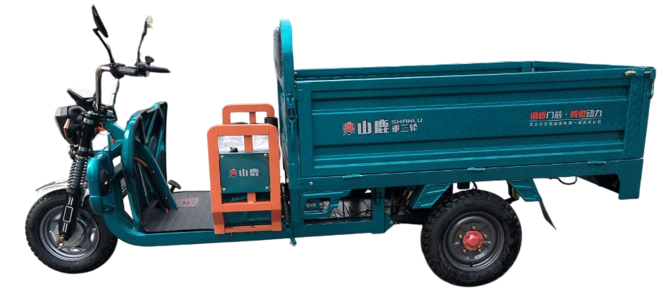 https://storage.alifshop.tj/media/images/alifshop/28061/elektroskuter-shanlu-1500w-biryuzovyy-1733993557564.png