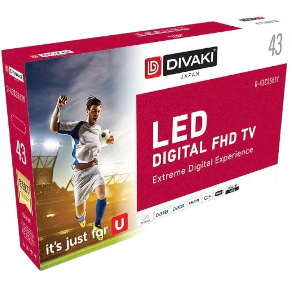 Дик теледидар