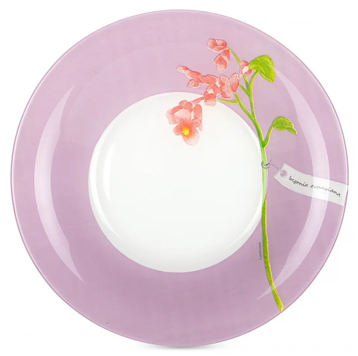 https://storage.alifshop.tj/media/images/alifshop/29796/serviz-stolovyy-luminarc-rozana-begonia-n2169-6-person-46-predmetov-1738047613131.png
