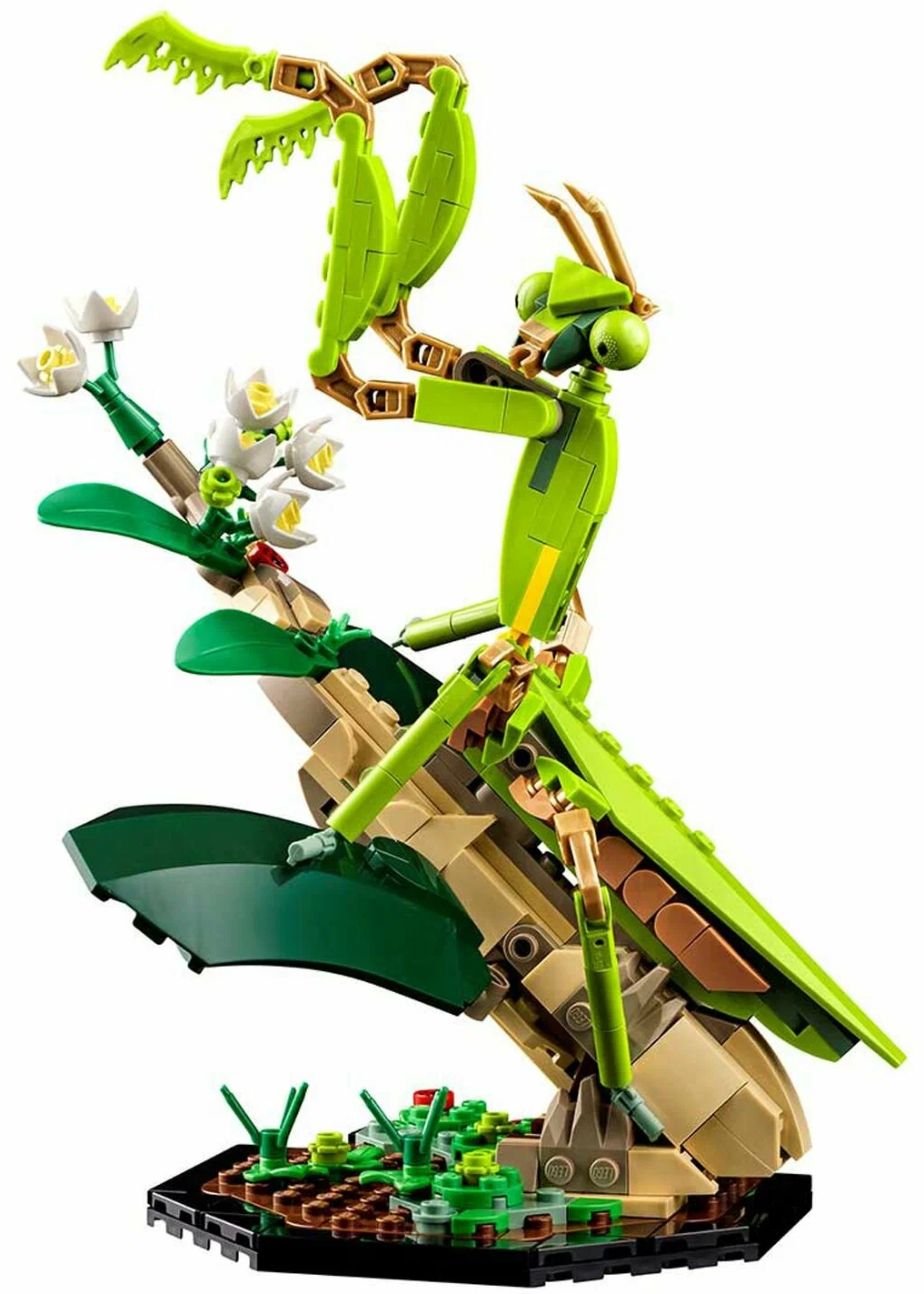 https://storage.alifshop.tj/media/images/alifshop/30270/konstruktor-lego-ideas-21342-kollekciya-nasekomyh-1739534465747.png