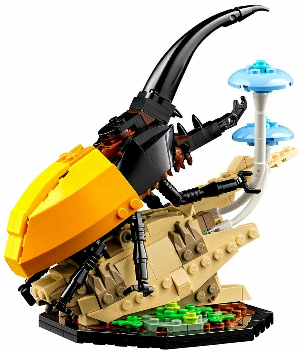 https://storage.alifshop.tj/media/images/alifshop/30270/konstruktor-lego-ideas-21342-kollekciya-nasekomyh-1739534490338.png