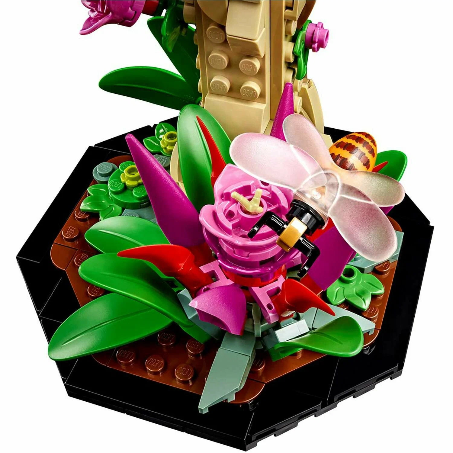 https://storage.alifshop.tj/media/images/alifshop/30270/konstruktor-lego-ideas-21342-kollekciya-nasekomyh-1739534493620.png