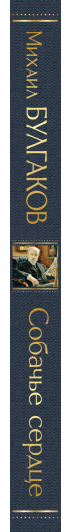 https://storage.alifshop.tj/media/images/alifshop/30533/bulgakov-mihail-sobache-serdce-1740475828581.png