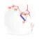 https://storage.alifshop.tj/media/images/alifshop/30664/tarelka-luminarc-carine-ming-red-265-mm-1740679504798-xs.webp