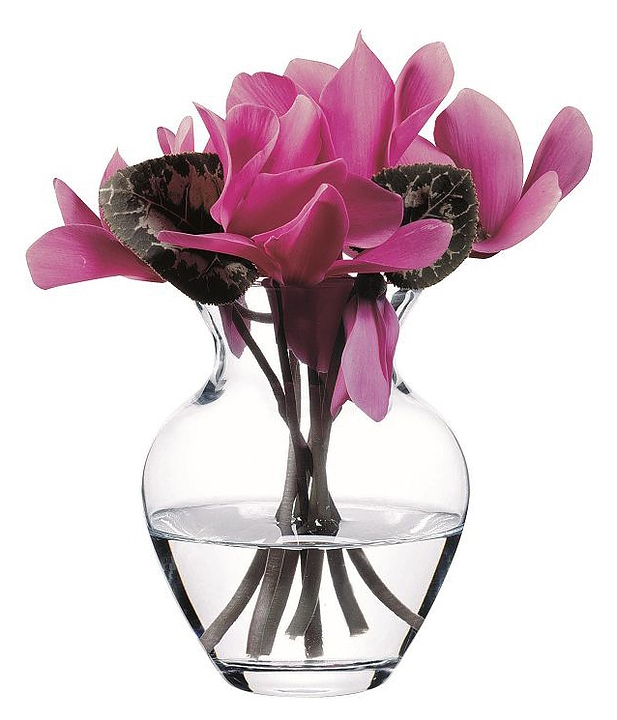 https://storage.alifshop.tj/media/images/alifshop/30762/vaza-pasabahce-botanica-43206-1-10-sm-1740745282439.jpg
