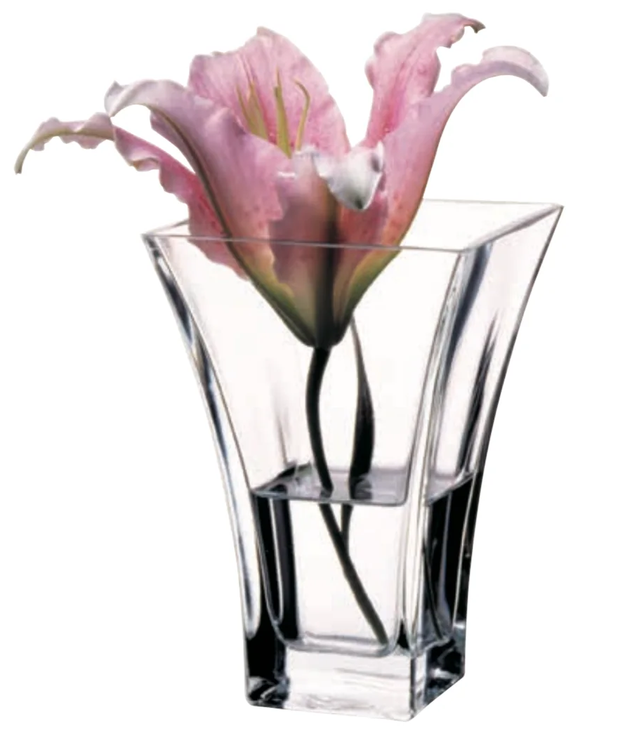 https://storage.alifshop.tj/media/images/alifshop/30768/vaza-pasabahce-botanica-80149-1-20-sm-1740745794193.png
