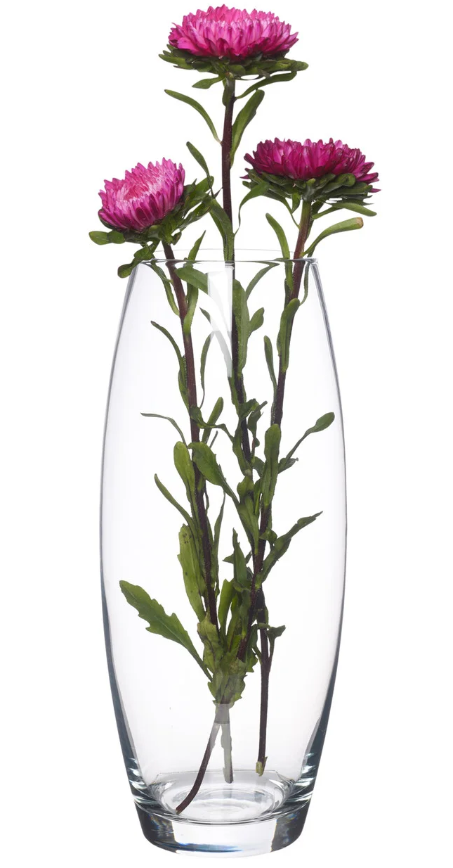 https://storage.alifshop.tj/media/images/alifshop/30776/vaza-pasabahce-flora-43966-1-26-sm-1740747744276.png