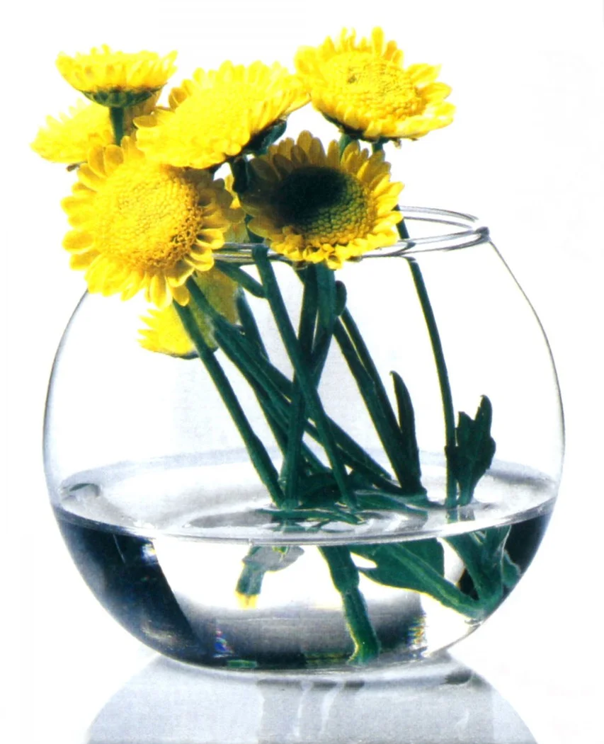 https://storage.alifshop.tj/media/images/alifshop/30780/vaza-pasabahce-flora-43407-1-8-sm-1740748518488.png