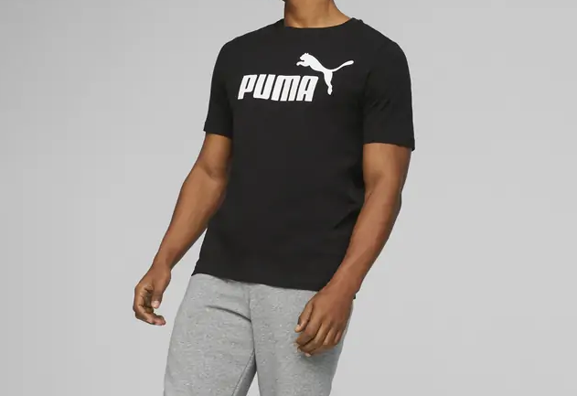 https://storage.alifshop.tj/media/images/alifshop/31151/muzhskaya-futbolka-base-puma-ess-logo-tee-s-chernyy-1741064333622.png