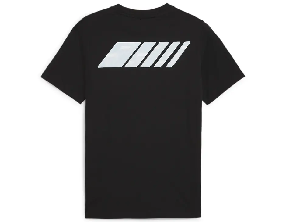 https://storage.alifshop.tj/media/images/alifshop/31270/muzhskaya-futbolka-puma-amg-graphic-tee-l-chernyy-1741077220545.png