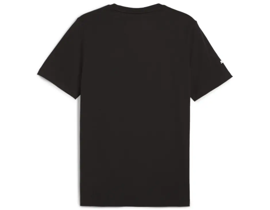 https://storage.alifshop.tj/media/images/alifshop/31295/muzhskaya-futbolka-puma-bmw-mms-logo-graphic-tee-s-chernyy-1741078476733.png