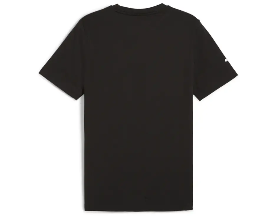 https://storage.alifshop.tj/media/images/alifshop/31316/muzhskaya-futbolka-puma-bmw-mms-logo-tee-s-chernyy-1741079435660.png