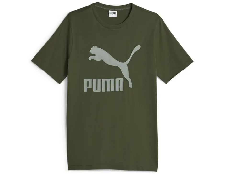 https://storage.alifshop.tj/media/images/alifshop/31326/muzhskaya-futbolka-puma-classics-logo-tee-s-zelenyy-1741080872383.png