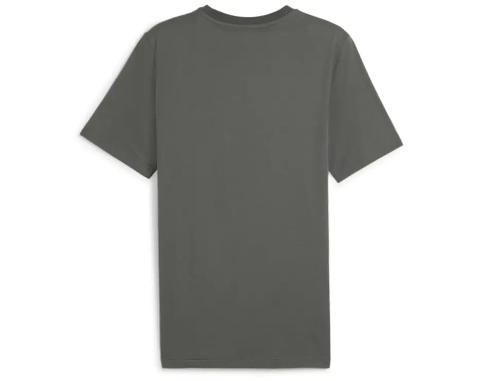 https://storage.alifshop.tj/media/images/alifshop/31405/muzhskaya-futbolka-puma-ess-camo-graphic-tee-s-seryy-1741152927237.png
