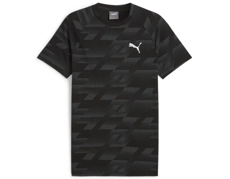 https://storage.alifshop.tj/media/images/alifshop/31416/muzhskaya-futbolka-puma-evostripe-aop-tee-s-chernyy-1741154911653.png