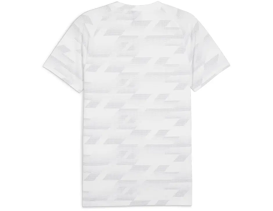 https://storage.alifshop.tj/media/images/alifshop/31417/muzhskaya-futbolka-puma-evostripe-aop-tee-s-belyy-1741155038298.png