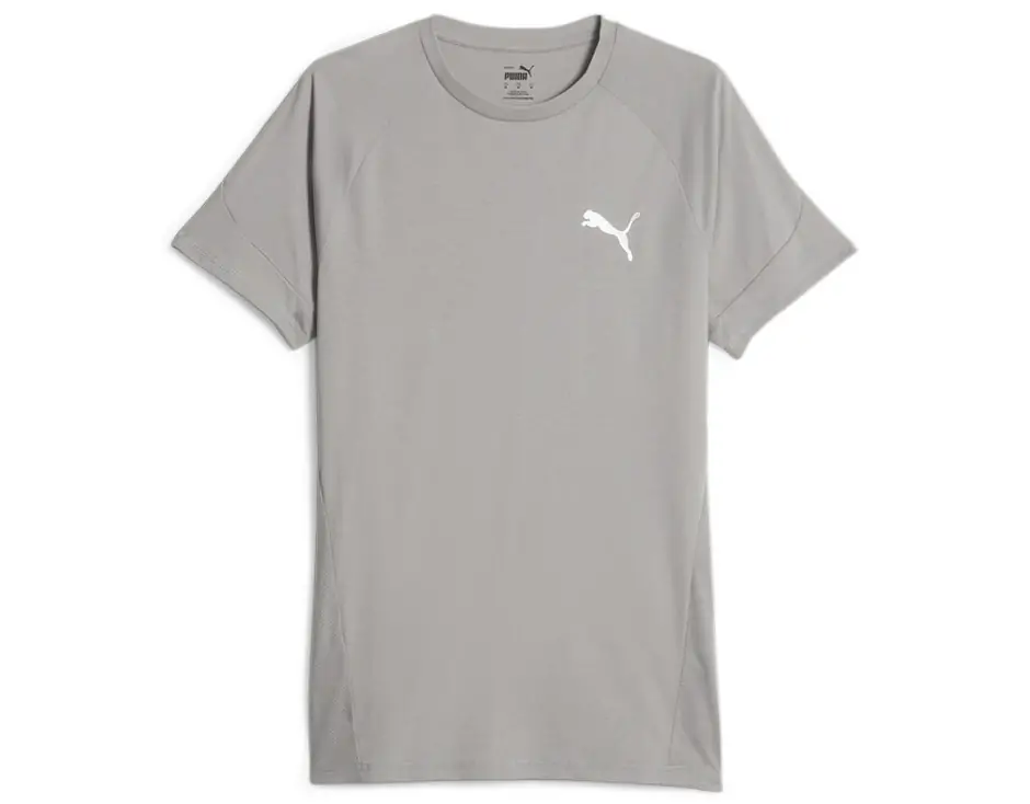 https://storage.alifshop.tj/media/images/alifshop/31420/muzhskaya-futbolka-puma-evostripe-tee-s-seryy-1741155582113.png