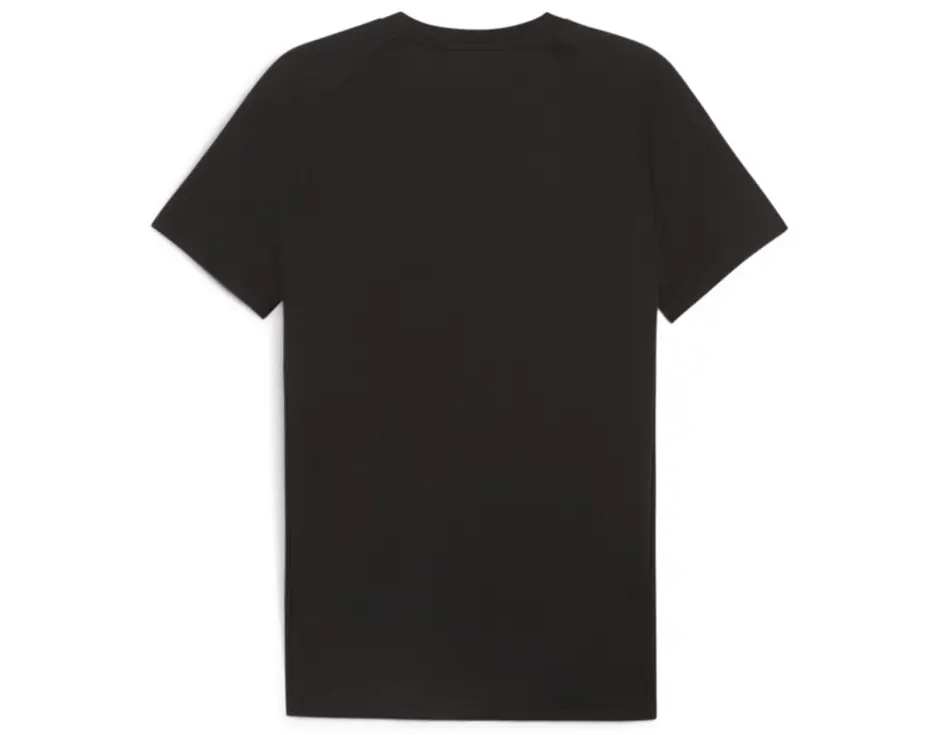 https://storage.alifshop.tj/media/images/alifshop/31425/muzhskaya-futbolka-puma-evostripe-tee-l-chernyy-1741155639228.png