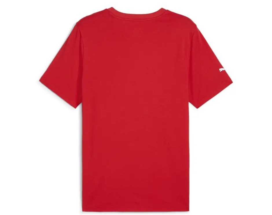 https://storage.alifshop.tj/media/images/alifshop/31441/muzhskaya-futbolka-polo-puma-f1-ess-logo-tee-xl-krasnyy-1741159247370.png