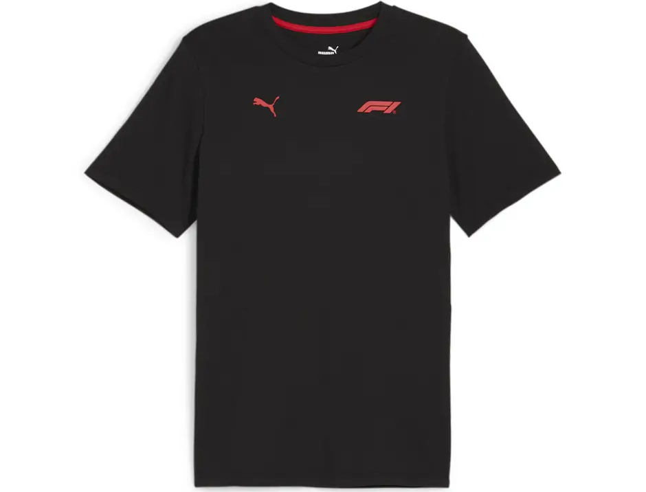 https://storage.alifshop.tj/media/images/alifshop/31443/muzhskaya-futbolka-polo-puma-f1-ess-tonal-logo-tee-m-chernyy-1741159476740.png