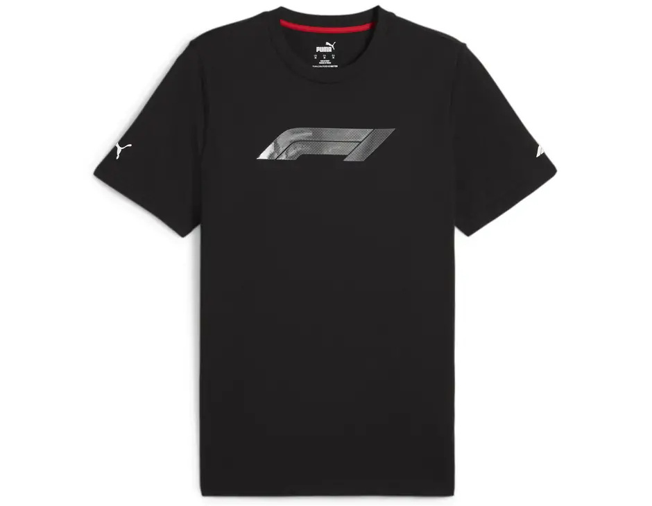 https://storage.alifshop.tj/media/images/alifshop/31448/muzhskaya-futbolka-polo-puma-f1-logo-graphic-tee-s-chernyy-1741159991001.png
