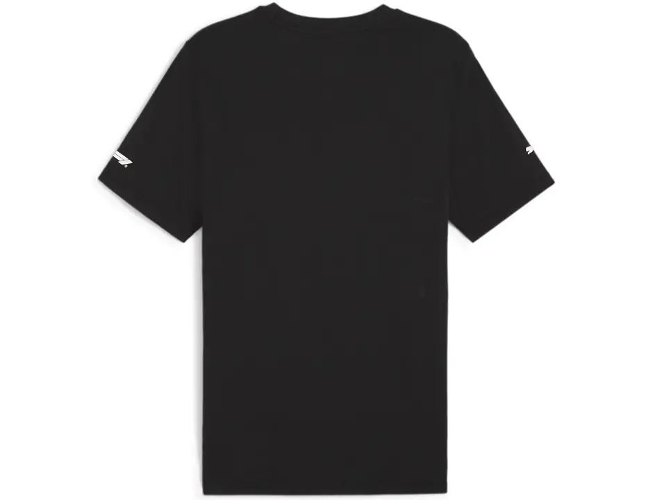 https://storage.alifshop.tj/media/images/alifshop/31448/muzhskaya-futbolka-polo-puma-f1-logo-graphic-tee-s-chernyy-1741159992077.png